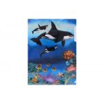 کلیربوك طرح دار پاپکو - Image 6