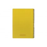 دفتر فارسی شفاف 100 برگ پاپکو - Image 3