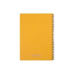 دفتر A4 مات 80 برگ پاپکو - Image 5