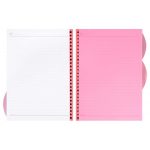 اوراق دفتر کلاسوری 200 برگ قفل فلزی پاپکو