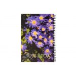 دفتر نقاشی طرح برجسته 80 برگ پاپکو - Image 24