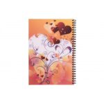 دفتر نقاشی طرح برجسته 80 برگ پاپکو - Image 13