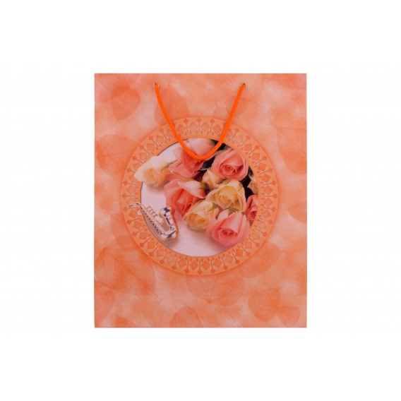 ساک دستی طرح دار بزرگ پاپکو1 ساک دستی طرح دار بزرگ پاپکو - Image 1