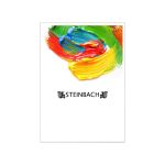 مقوا رنگ روغن اشتنباخ 300 گرم مدل تلا